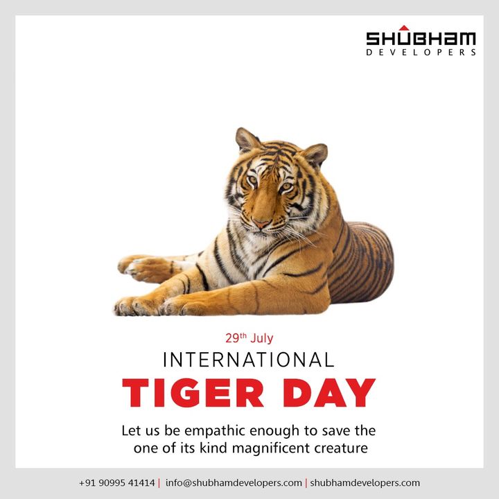 Shubham Developers,  InternationalTigerDay, InternationalTigerDay2020, TigerDay, SaveTheTiger, Tigers, ShubhamDevelopers, RealEstate, Gujarat, India