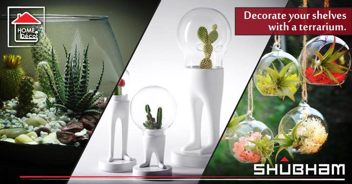 A modern way to decorate your house in a chic style. Make use of old transparent kitchen bowls, glass jars or kettles to hold plants and garden flowers for a beautiful centerpiece within minutes. Complement your work of art with cute little elements to make it more fun!